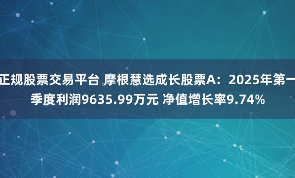 正规股票交易平台 摩根慧选成长股票A：2025年第一季度利润9635.99万元 净值增长率9.74%
