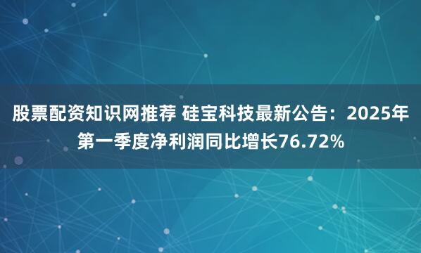 股票配资知识网推荐 硅宝科技最新公告：2025年第一季度净利润同比增长76.72%