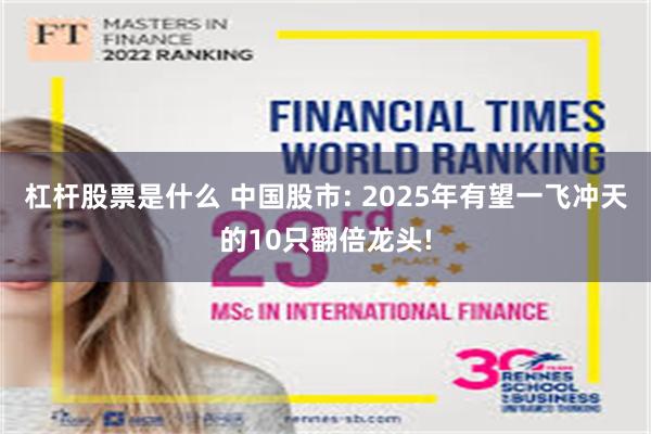 杠杆股票是什么 中国股市: 2025年有望一飞冲天的10只翻倍龙头!