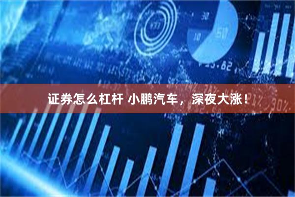 证券怎么杠杆 小鹏汽车，深夜大涨！
