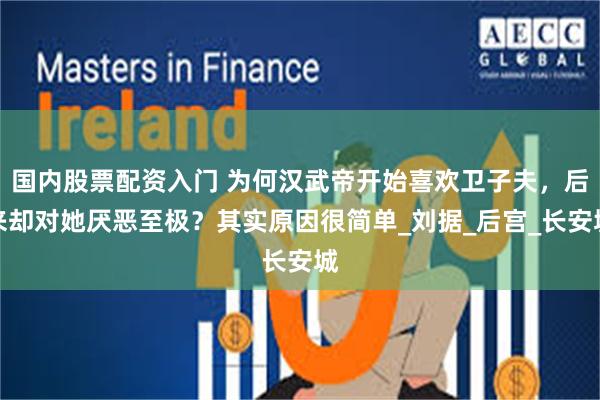 国内股票配资入门 为何汉武帝开始喜欢卫子夫，后来却对她厌恶至极？其实原因很简单_刘据_后宫_长安城